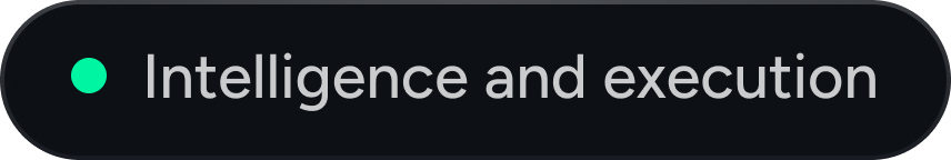 Intelligence and execution